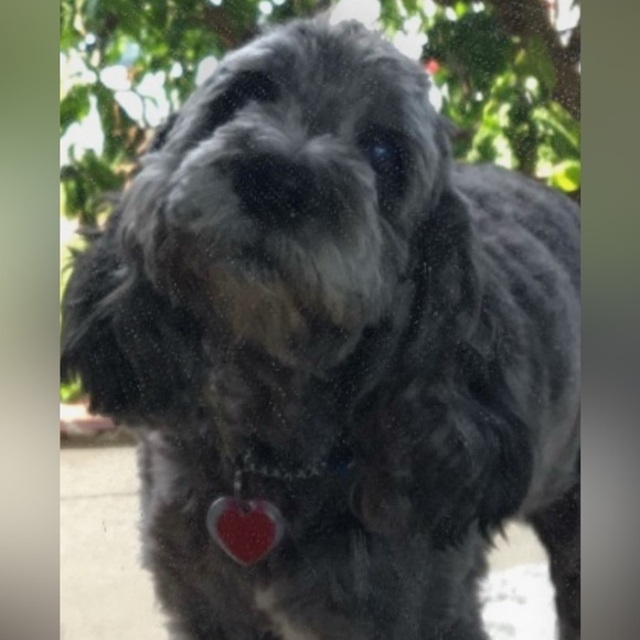 Meet your Posher, Francesca - Picture 9 of 11